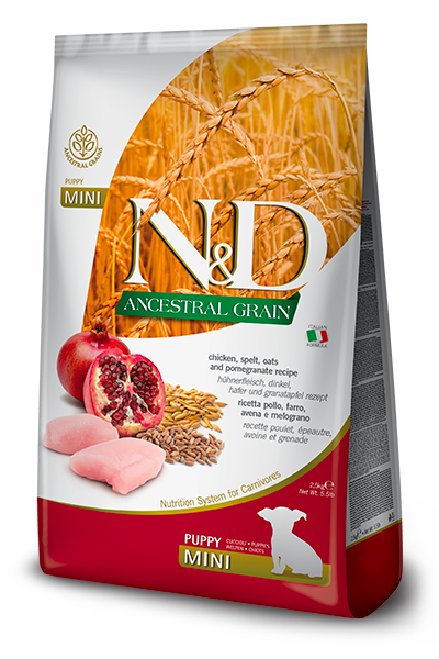 106_41_nd-ancestral-puppy-mini-chicken-spel-pomegranate-5B400x600pxl5D@img_farmina_site.png