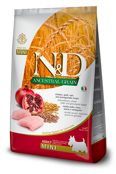 109_31_nd-ancestral-adult-mini-chicken-spel-pomegranate-5B400x600pxl5D@img_farmina_site.png