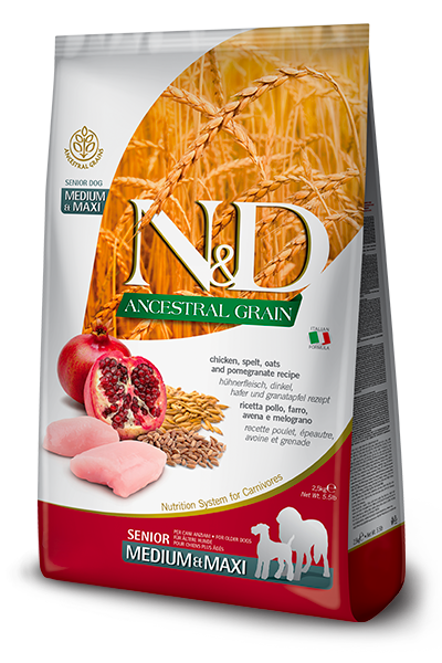 115_19_nd-ancestral-senior-medium-maxi-chicken-spel-pomegranate-5B400x600pxl5D@img_farmina_site.png