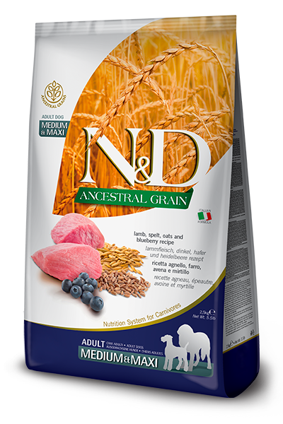 597_41_nduCC80-ancestral-adult-medium-maxi-lamb-spelt-blueberry-5B400x600pxl5D@img_farmina_site.png